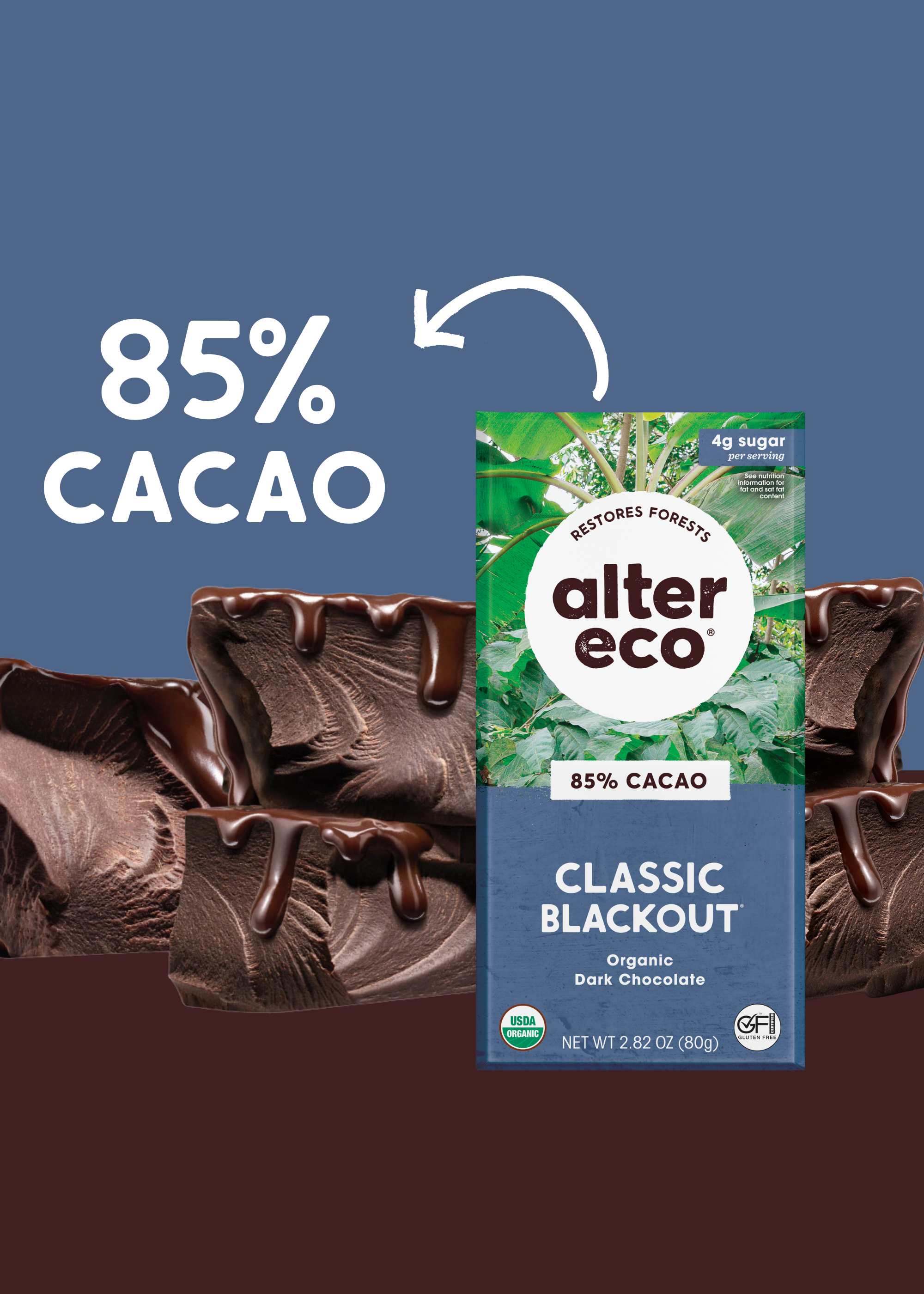 Alter Eco Organic Super Blackout Chocolate Bar, 2.65 oz - Fry's Food Stores