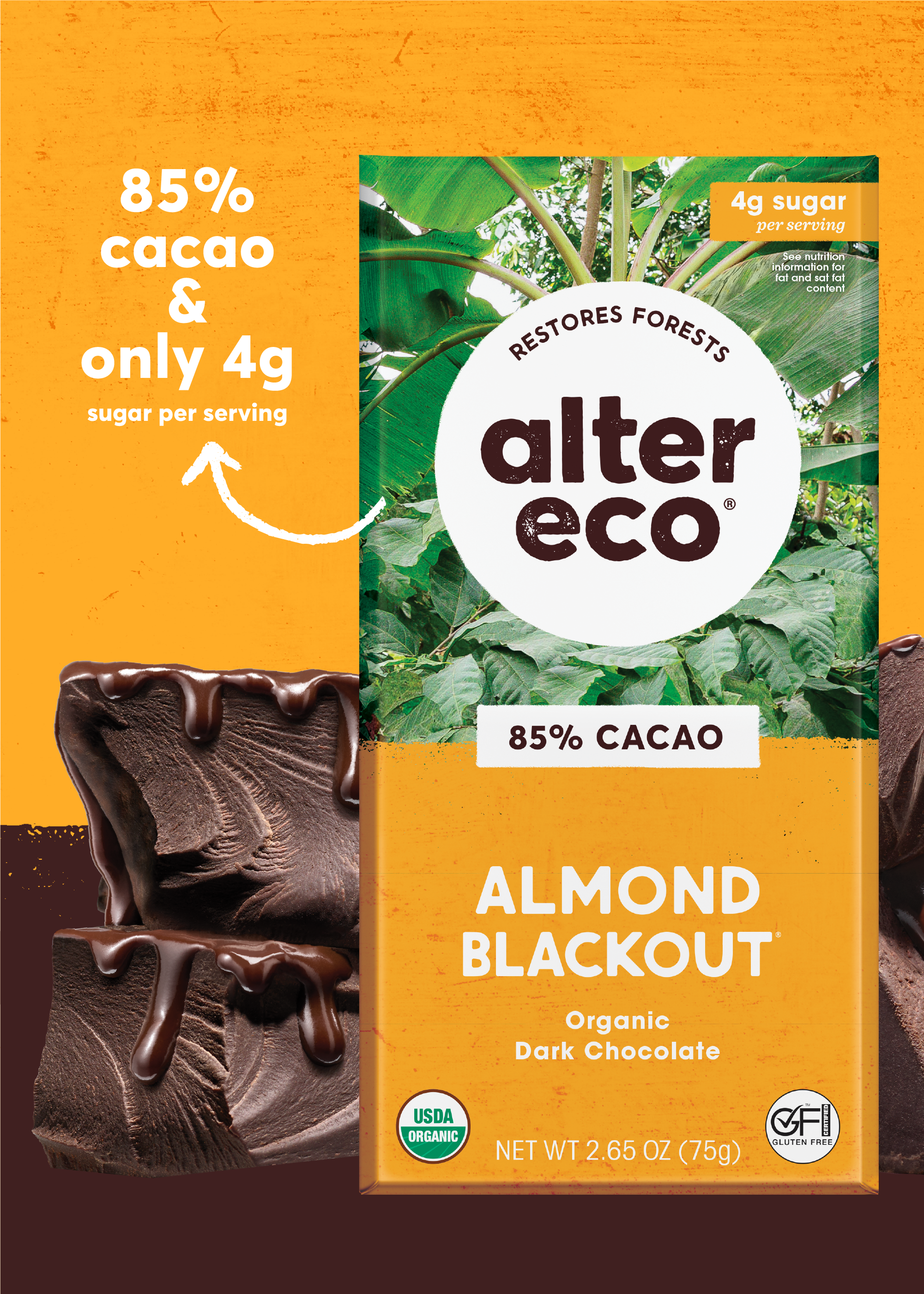 Alter Eco Organic Deep Dark Chocolate Classic Blackout -- 2.82 oz - Vitacost