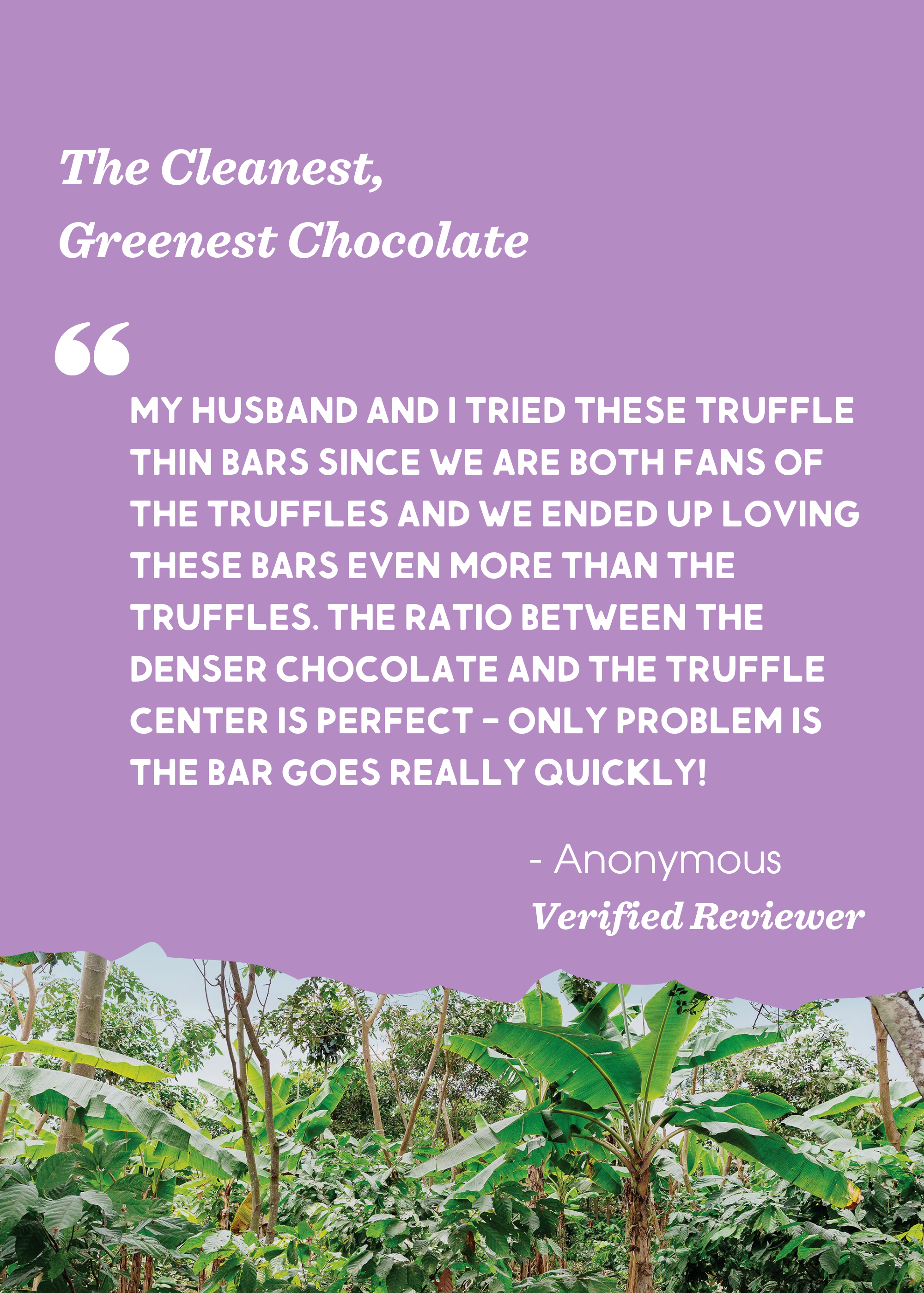 Alter Eco Creme Brulee Truffle Thins Dark Chocolate Bar – the international  pantry